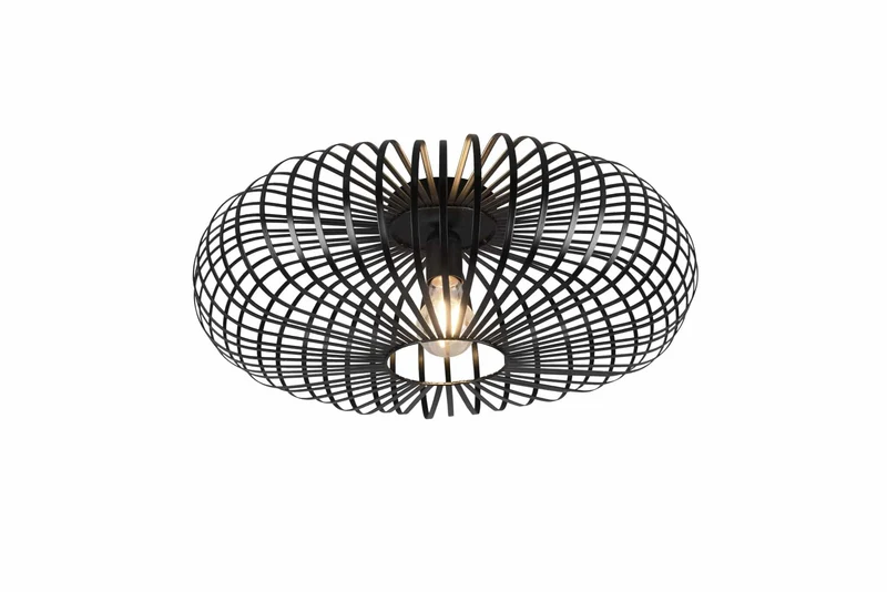 Plafón de techo Trio Johann negro mate Ø50cm 606905032