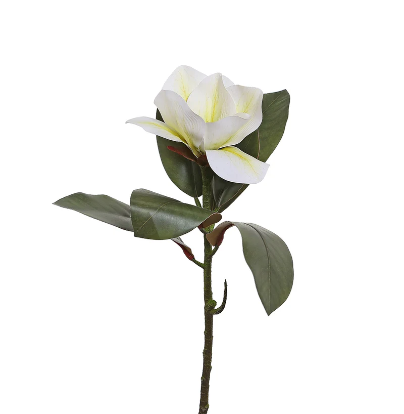 YD04CR Rama Magnolia Crema