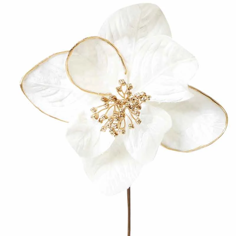 XH496CO Magnolia Grande Crema C/Orilla Oro 30(D)X60(A) Cm.