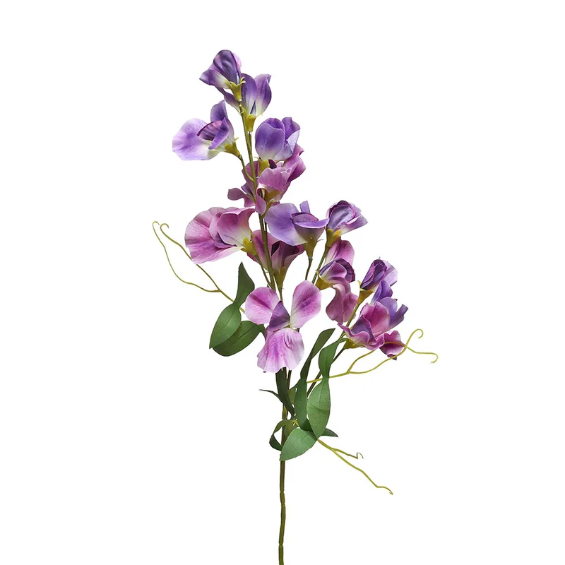 YS0551M Rama Guisante Dulce Morado 63cm.