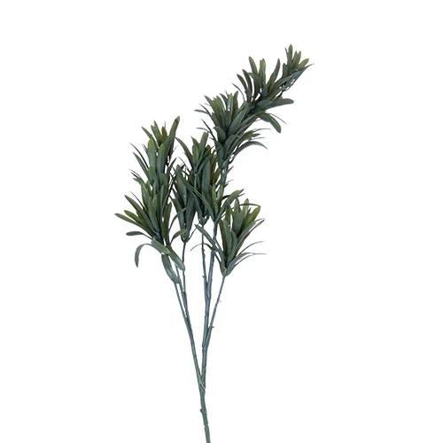 YD1812 Follaje Kusomaki 72 cm.