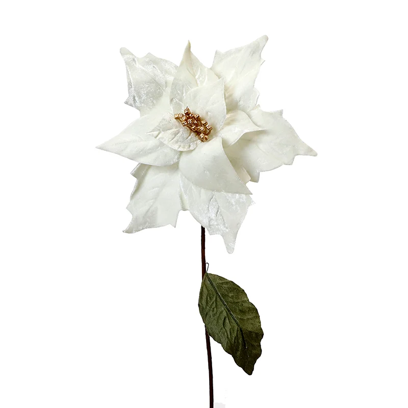 XH70CM Nochebuena Terciopelo Crema Mediana 30(D)X61(A) Cm.