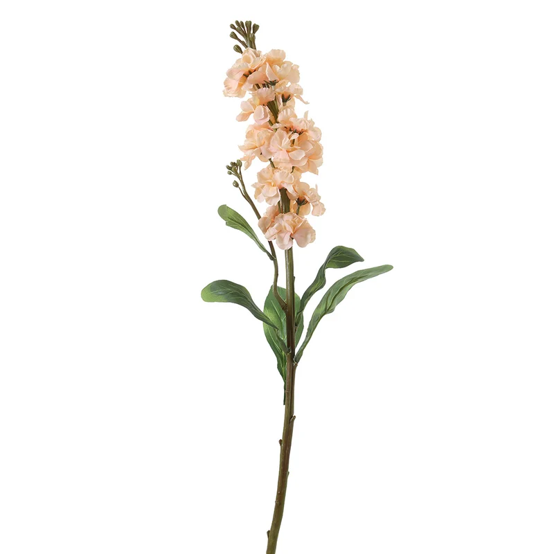 YD80M Rama Delphnium Blush Med.