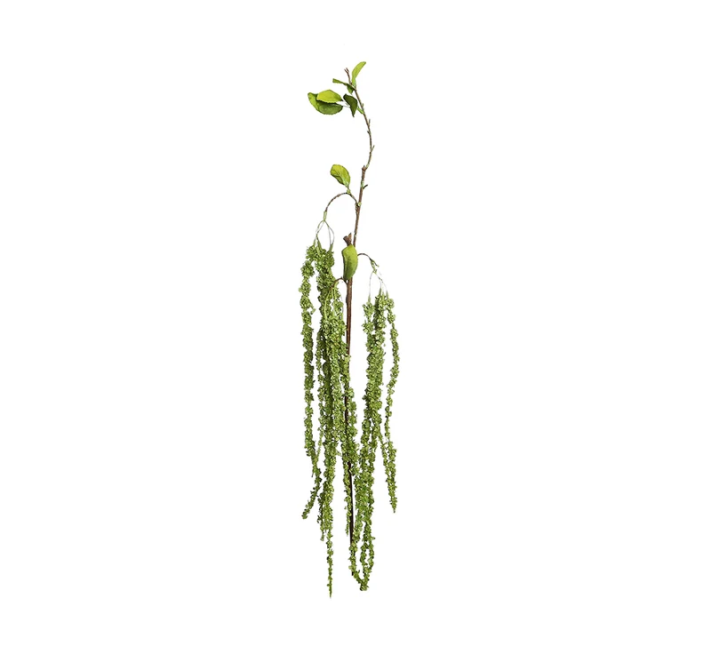 YD68V Rama Wisteria Verde