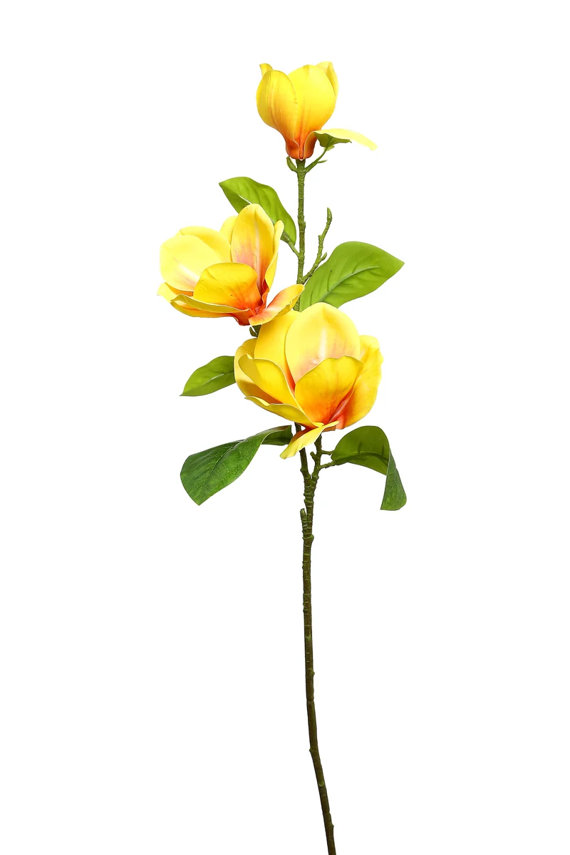 YD09A Rama Magnolia Amarillo Grande