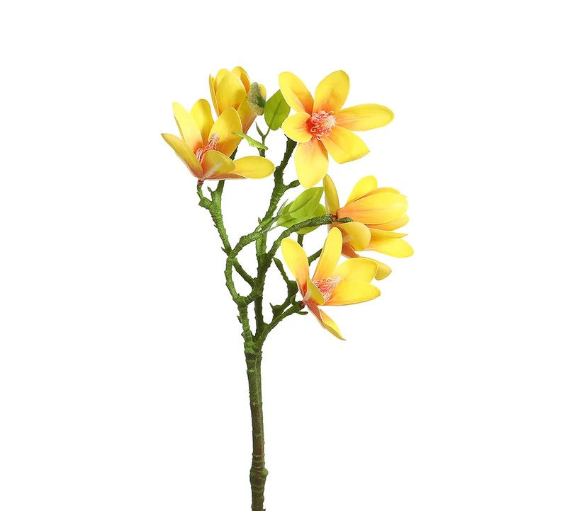YD07A Rama Magnolia Amarillo Mediana 59 Cm.