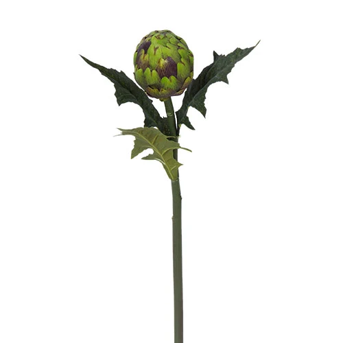 YD17 Rama Alcachofa 63 cm .