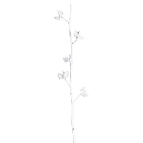 YS750 Rama Decorativa Natural 72 cm .