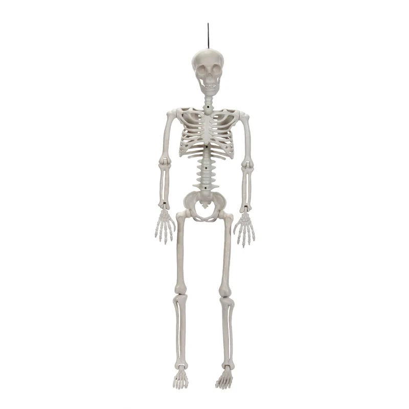 Art.11649 Esqueleto Plástico 90x25cm 1pz