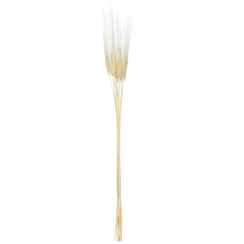 Art.8349 Espiga De Trigo 70cm (Aprox) 1pz