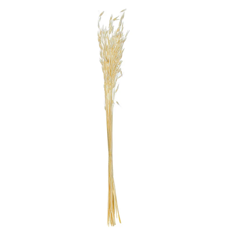 Art.8346 Ramo De Avena 60cm (Aprox) 1pz