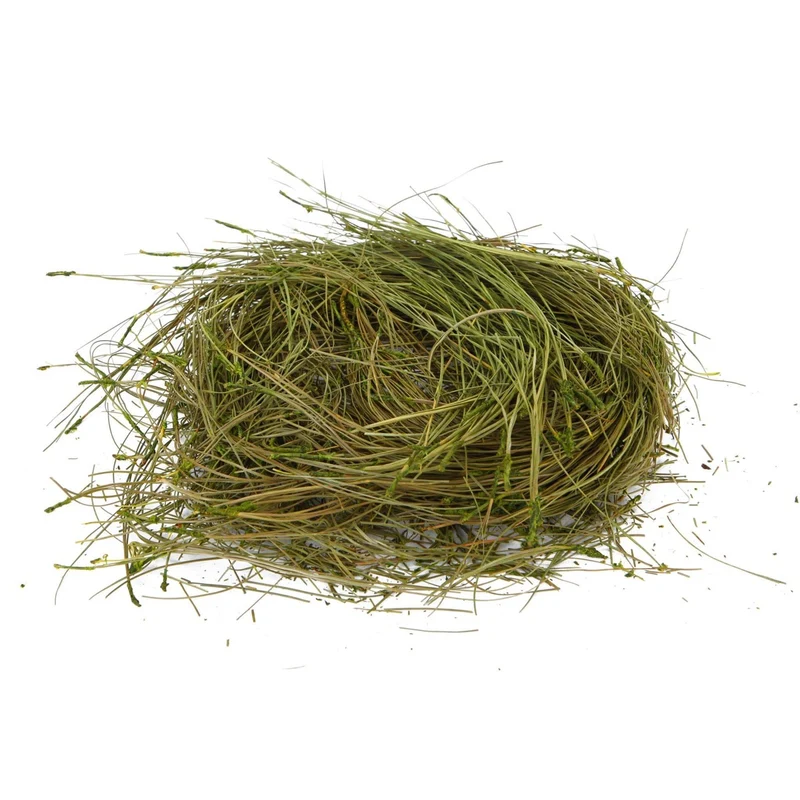 Art.1229 Pastito Deshidratado 50g 1pz