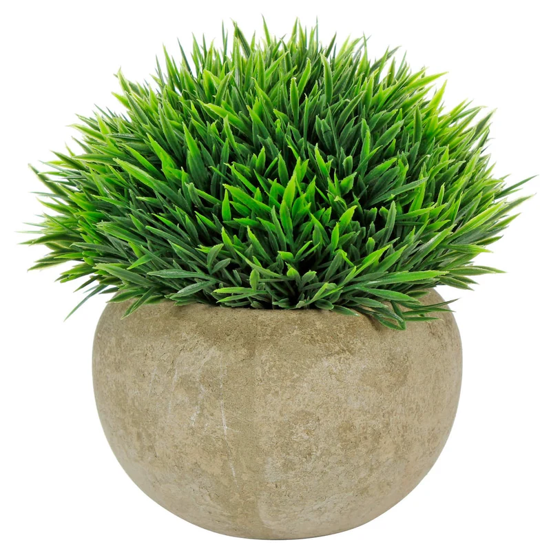 Art.10579 Planta Grande Redonda Base Fina 12cm 1pz