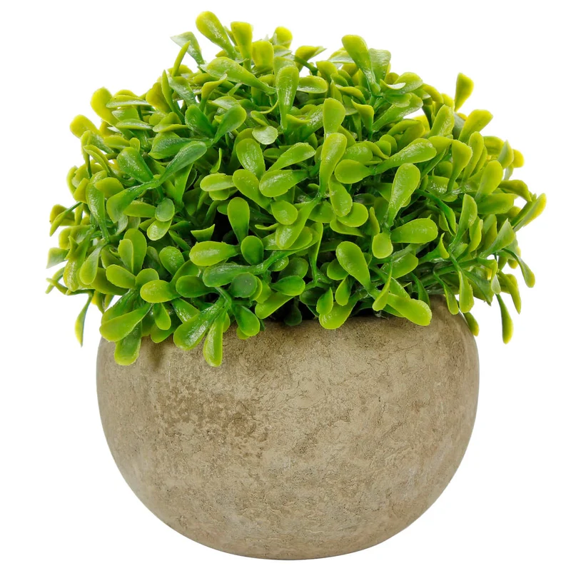 Art.10578 Planta Grande Redonda Base Fina 12cm 1pz
