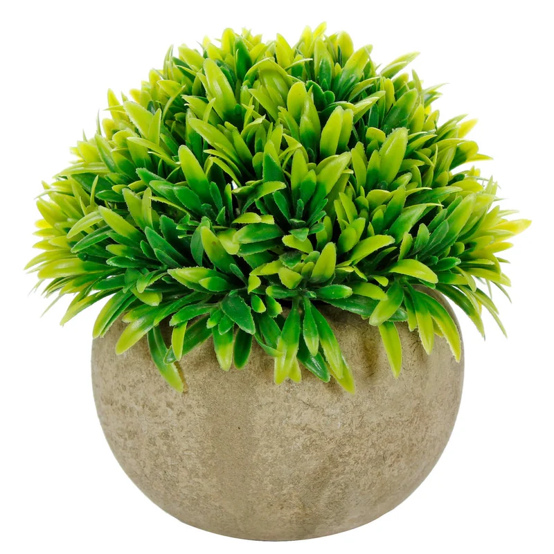 Art.10577 Planta Grande Redonda Base Fina 12cm 1pz