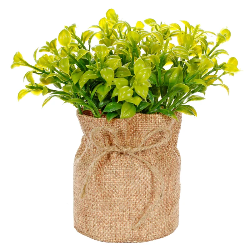 Art.10539 Planta Base De Yute 17.5cm 1pz