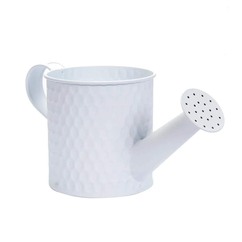 Art.10432 Regadera Metálica Colmena 10.5cm 1pz
