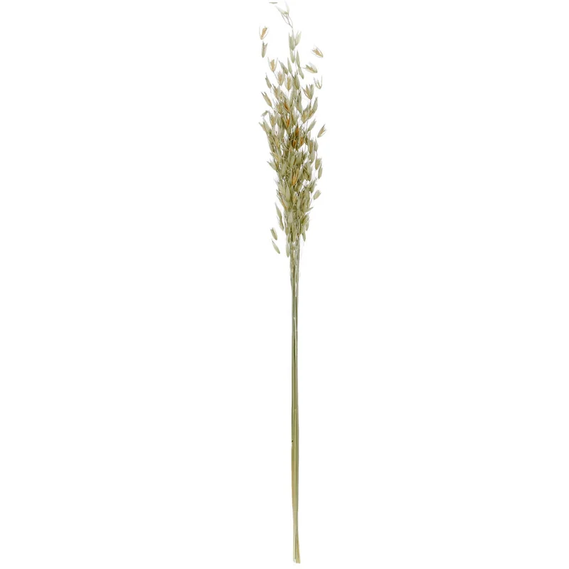 Art.9969 Ramo Avena 70cm 1pz