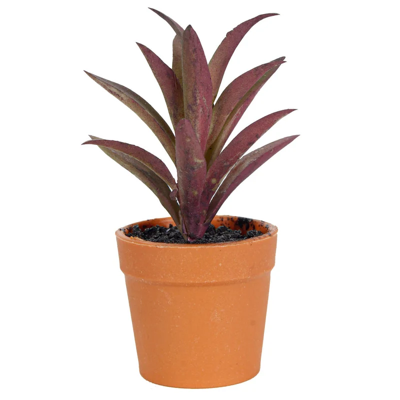 Art.290 Mini Cactus Con Maceta 10cm 1pz