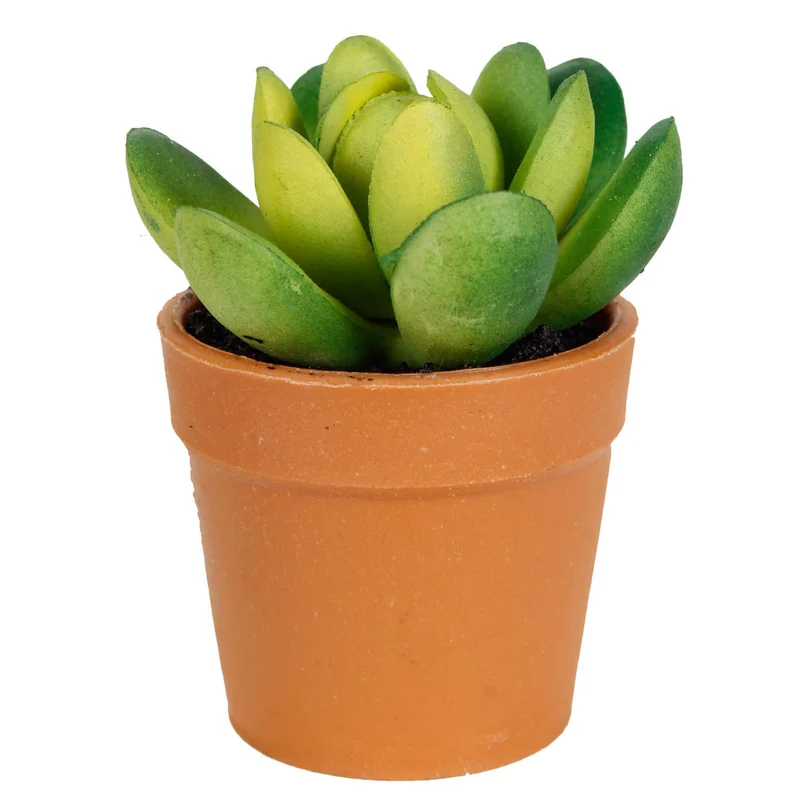 Art.293 Mini Suculenta Con Maceta 7cm 1pz