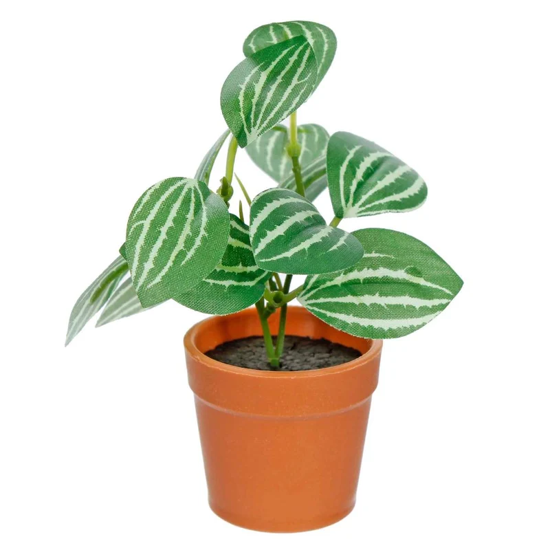 Art.288 Mini Planta Con Maceta 12cm 1pz