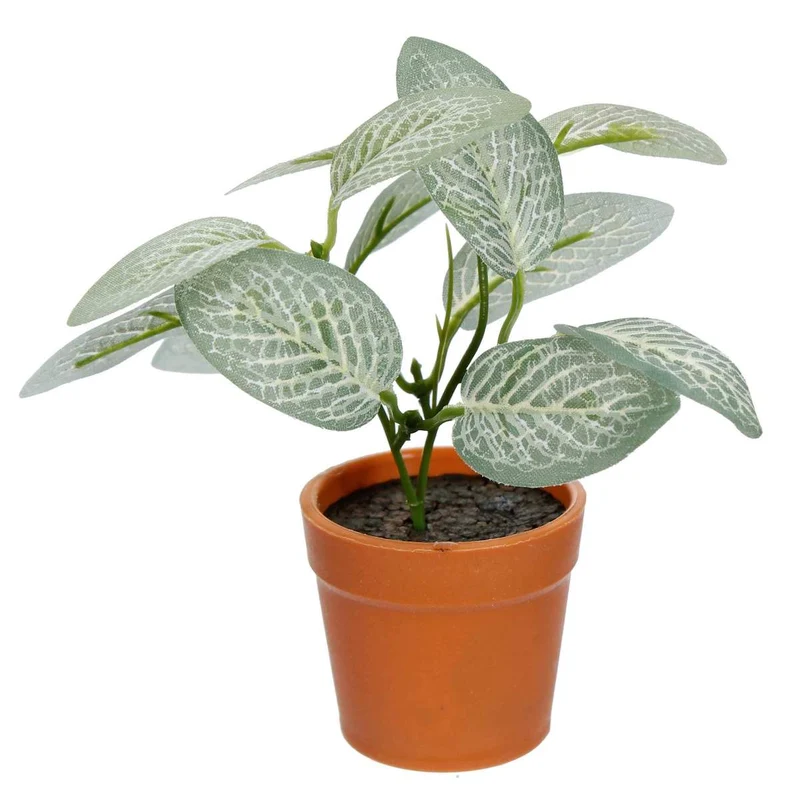 Art.264 Mini Planta Con Maceta 12cm 1pz