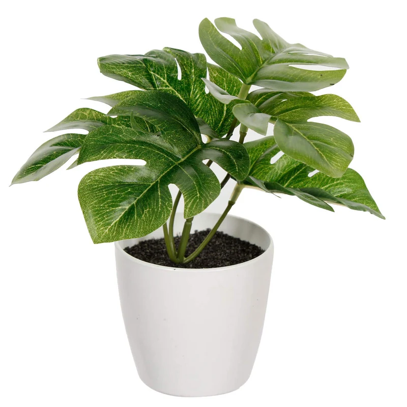 Art.257 Mini Planta Con Maceta 17cm 1pz
